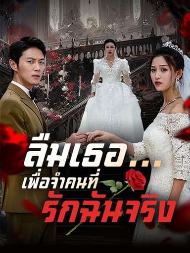 ลืมเธอ...เพื่อจำคนที่รักฉันจริง(พากย์ไทย) 